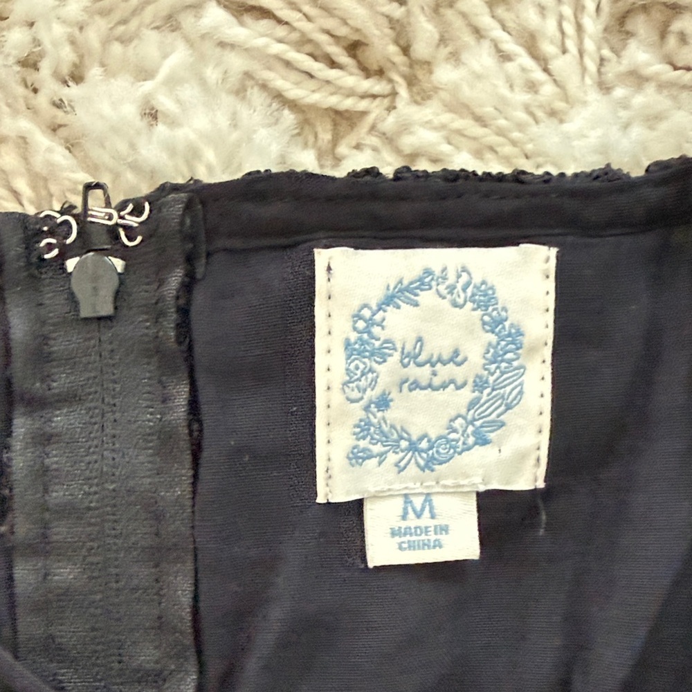 Blue Rain Black Lace Mini Dress - Picture 4 of 5